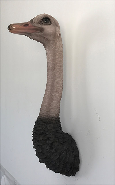 Resin Ostrich Head Wall Hanging